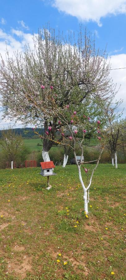 Guesthouse Miha Rakovica Dış mekan fotoğraf