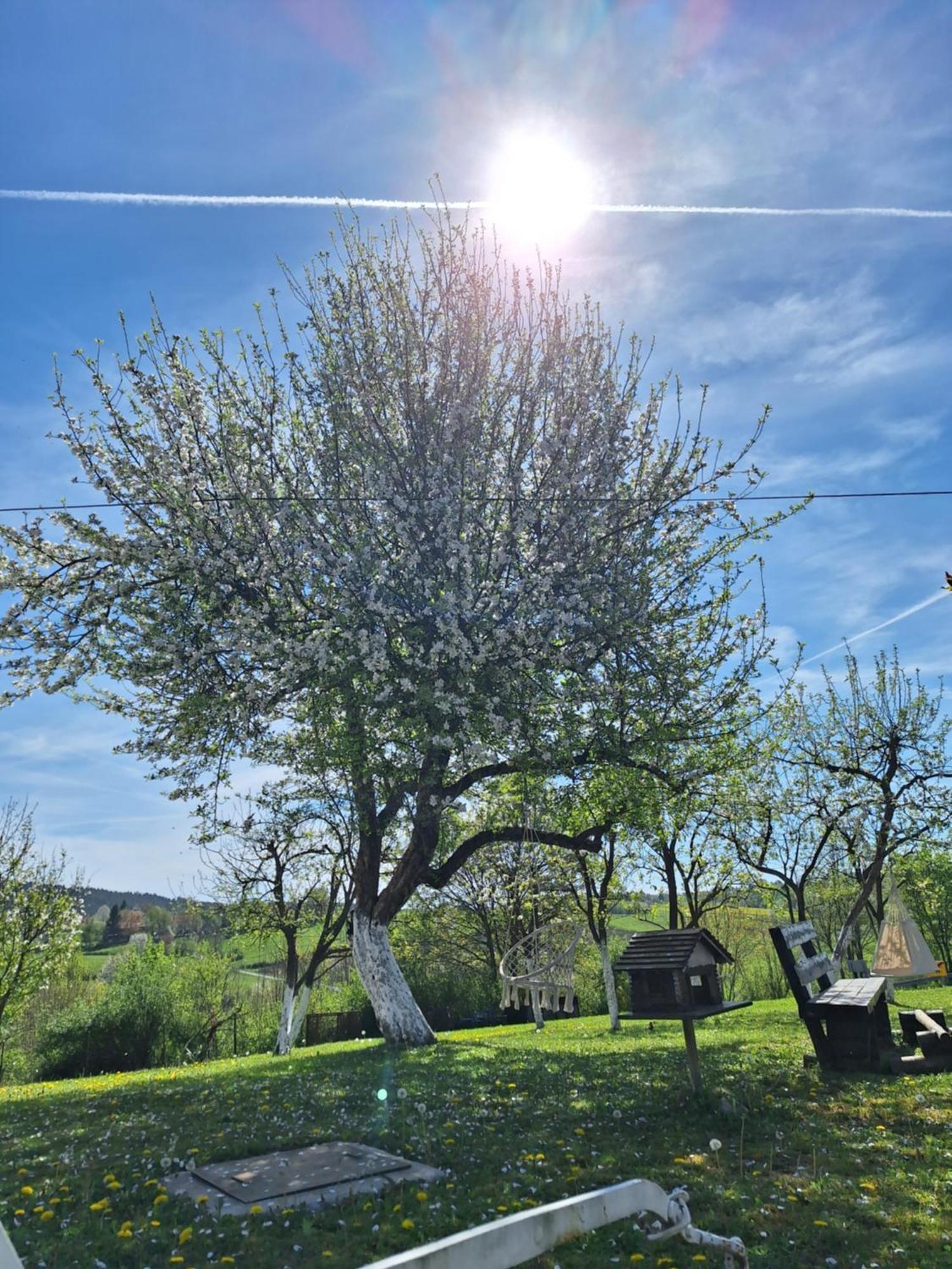 Guesthouse Miha Rakovica Dış mekan fotoğraf